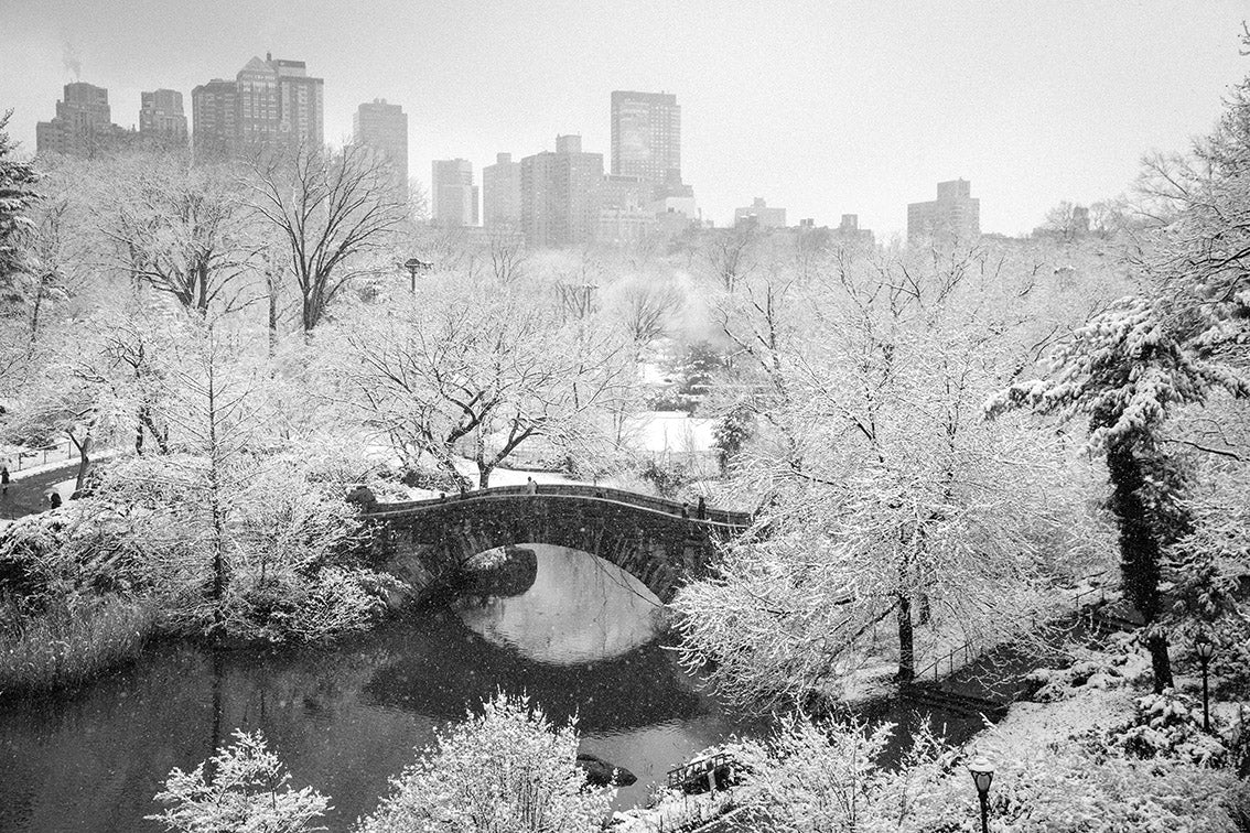 New York Limited Edition Prints