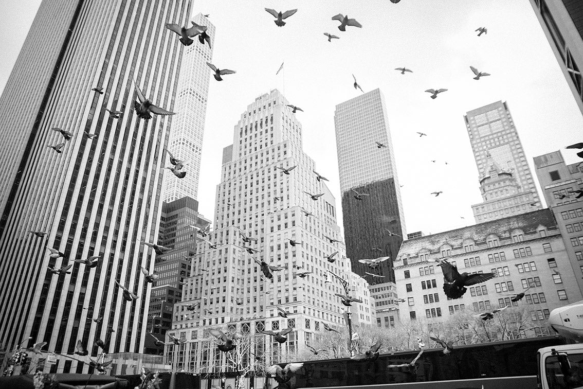 New York Wall Prints