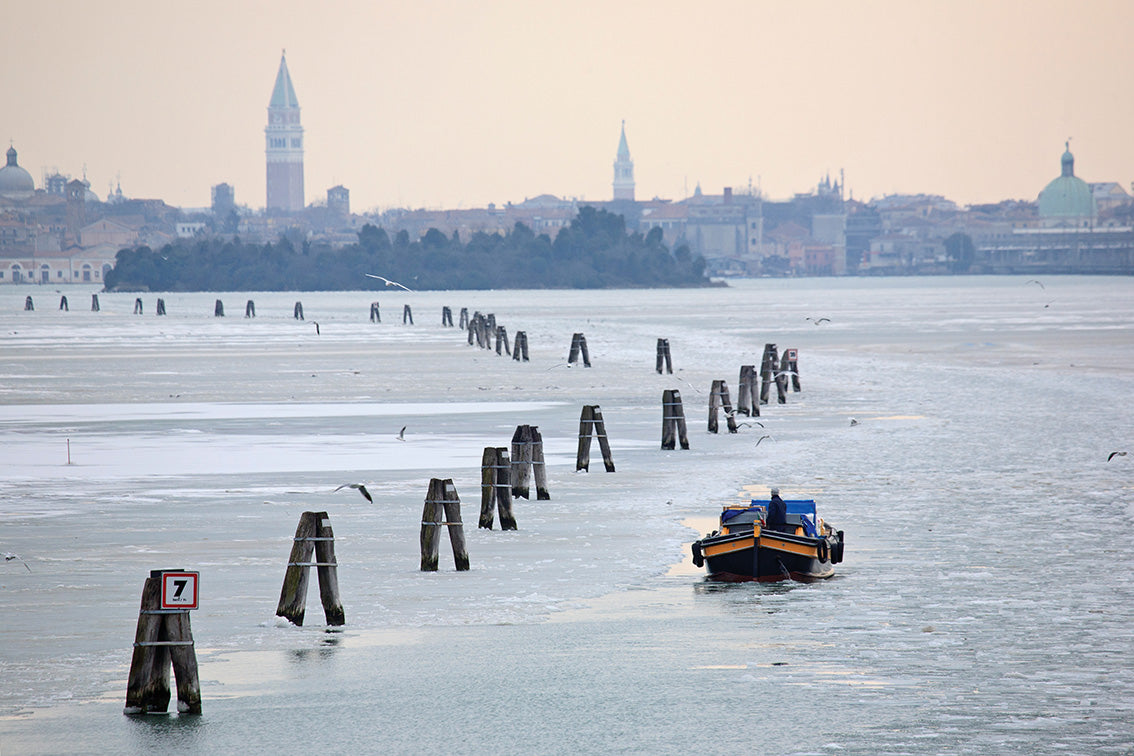 Wall Fine Art Prints